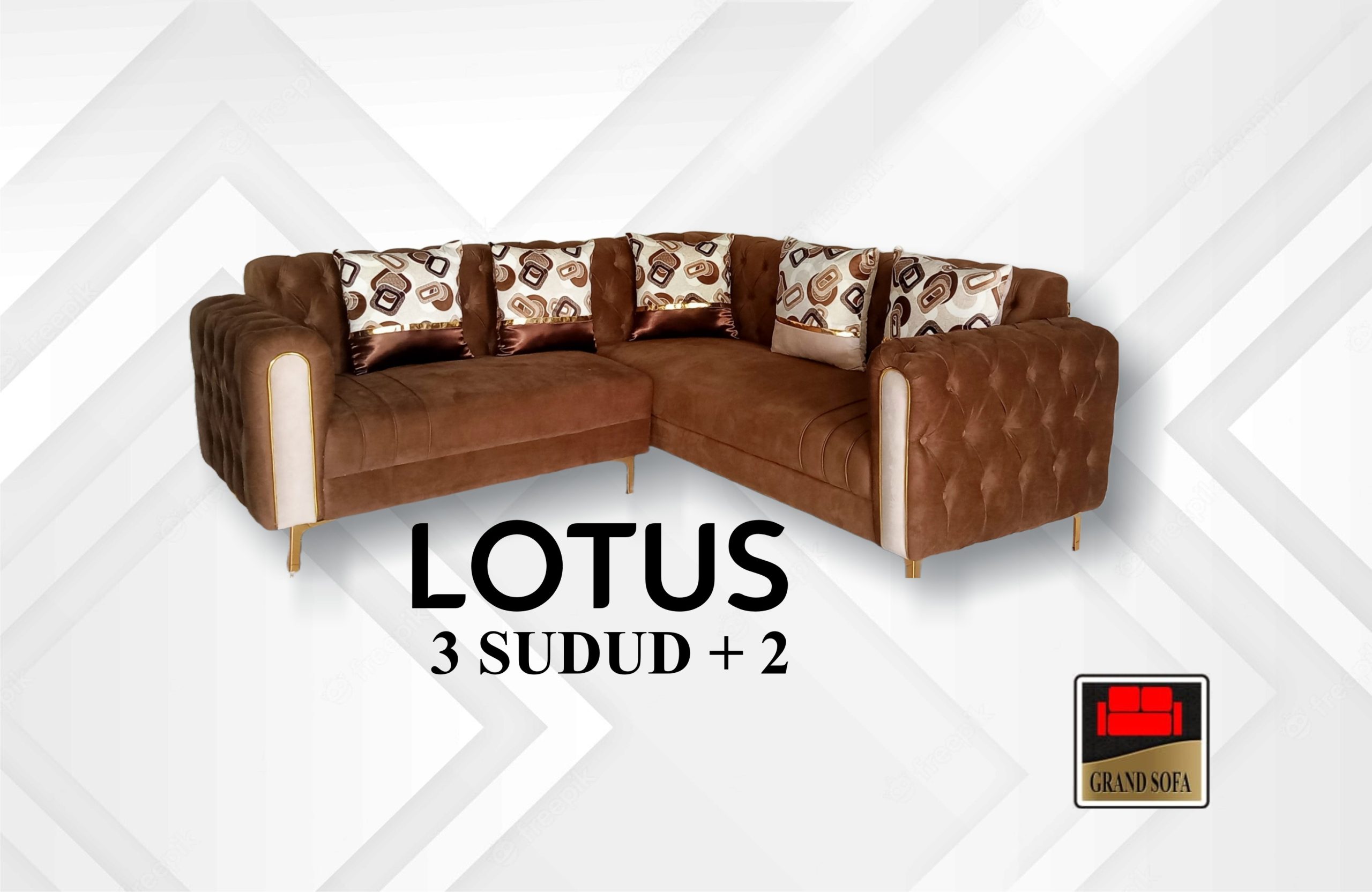 lotus-scaled.jpg